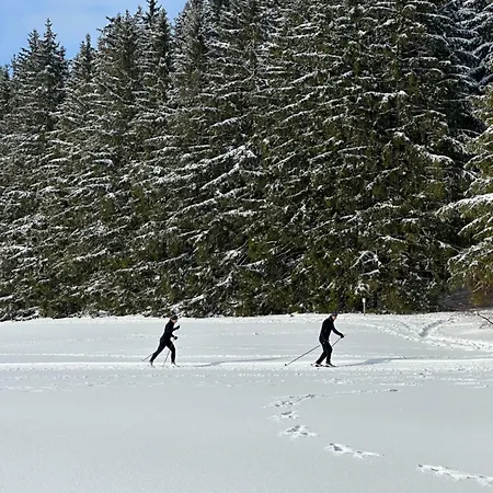 Haus - Sonneck * Schönwalde